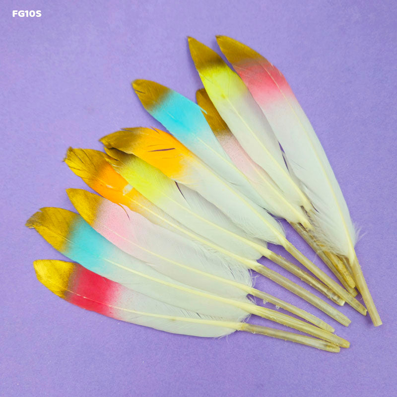 Feather Shaded Glittered Multicolor (1 Packet 10 Pcs)